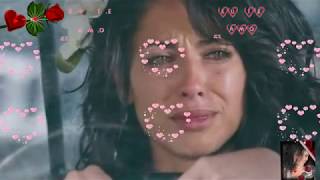 Não Penso Em Voltar Lyrics English Translation