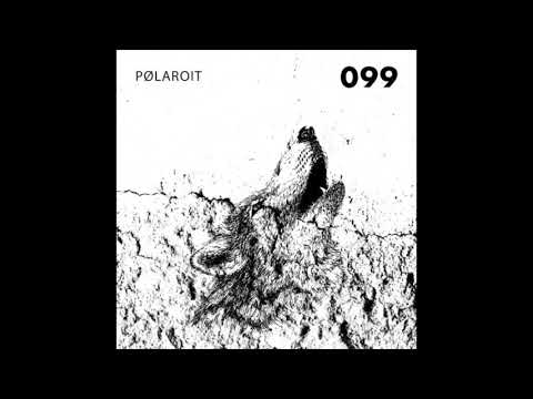 Stil vor Talent Podcast 099 - Polaroit