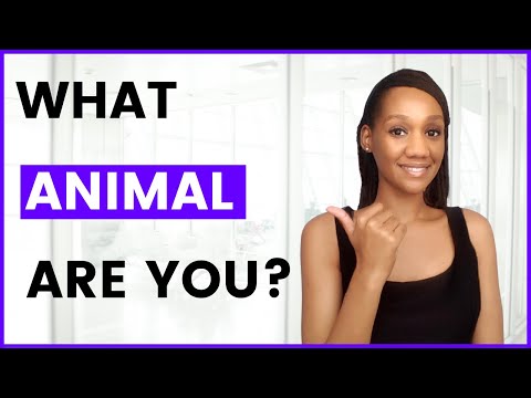 What Animal are you? Weird Interview Questions and Answer