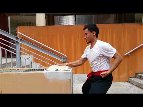 Iron Palm Training For Kung Fu