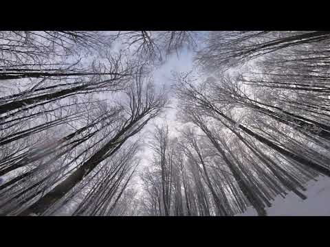 KŐHÁT TÉLI PILLANATKÉPEK 2021 MÁRAMAROS