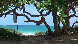 THE TIDE AND THE SEA