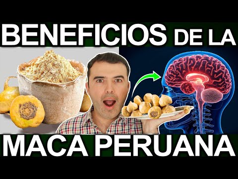 What Is Maca Used For? - Health, Beauty, and More Benefits