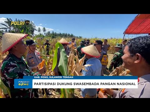 POLRES POSO GELAR PANEN RAYA JAGUNG SERENTAK KUARTAL II DUKUNG KETAHANAN PANGAN