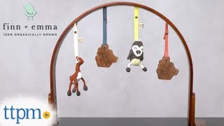 Wood Play Gym from Finn + Emma
