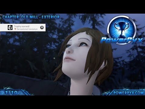 Video preview