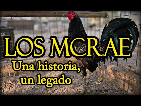 The McRaes: A Story of Eternal Legacy