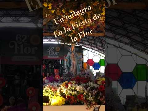 Milagro en la Fiesta de la Flor de Escobar#argentina#milagros#flores  #buenosaires#fiestadelaflor