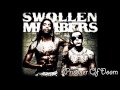 Swollen Members - Prisoner Of Doom + Lyrics (HD 1080p)