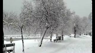 preview picture of video 'Carqueiranne sous la neige le 12.02.2012 comme si vous y étiez. ( Cote d'azure, var )'