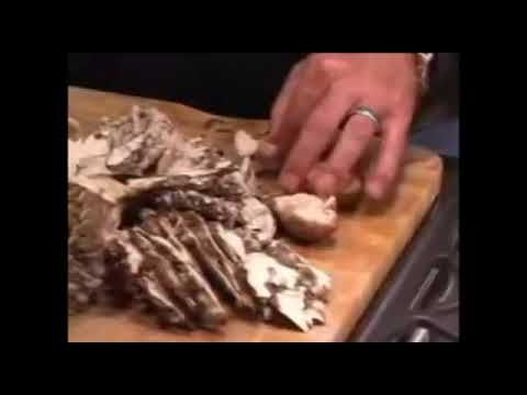 Why Paul Stamets does not like Portobello mushrooms.
