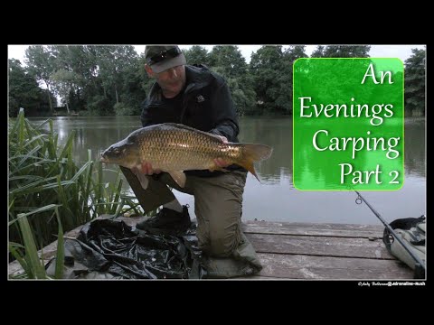 An evenings carping Part 2 with Andrew Bolderson - Adrenaline-Rush