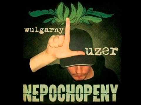 Wulgarny Luzer - Nepochopený (2008)
