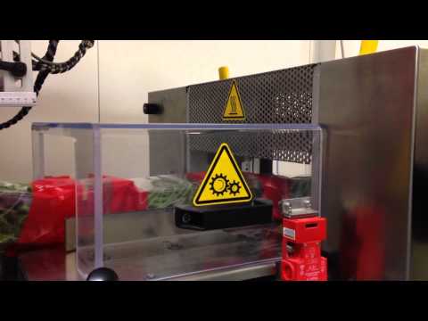 Emrich - PFM Hurricane Servo Horizontal Flow Wrapper - Loose Leaf Salad Trays