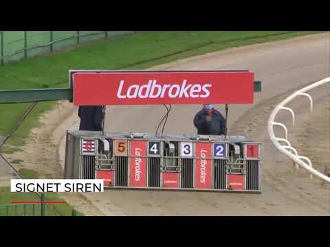 Signet Siren - 23rd July 2020