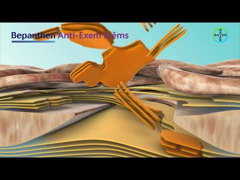 BEPANTHEN Anti-Exem krēms 50 g