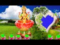 Green Wedding Green Video Wedding Green Screen Effects Green Screen Green Screen Effects