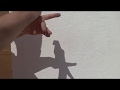 Sombras Chinescas Pájaro