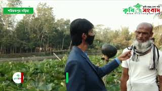 ডিংগামানিক ইউনিয়ন, উপজেলা নড়িয়া, জেলা শরীয়তপুর এ বৈচিত্রময় সবজি চাষ ।