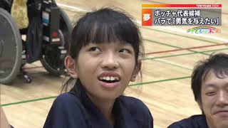 サンプル動画