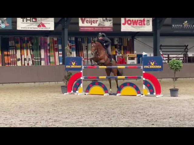 Monarch van het Roosakker