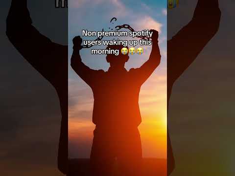 Spotify Just Did WHAT?!