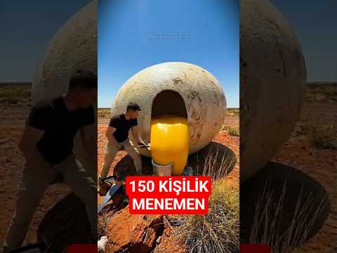 Dünyanın En Değişik Yumurtaları: Bölüm 1