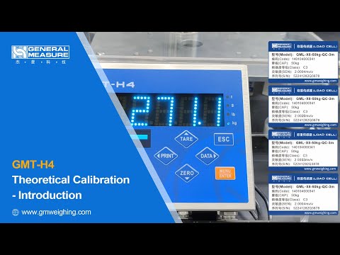 Theoretical Calibration Weighing Indicator GMT-H4 