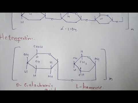 CHAPTER CARBOHYDRATES part 1 BIOCHEMISTRY BY PHANINDRA GUPTA