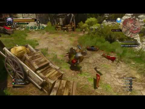 The Witcher 3 - Euphoria build