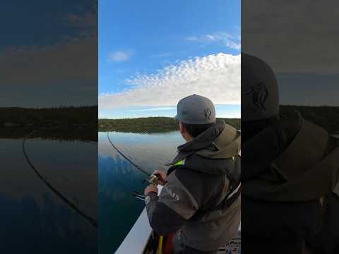 Big Fish - Great Slave Lake - Northwest Territories #fishing #nwt #shortsvideo #shorts
