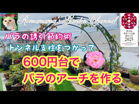 バラの茂みをアーチ状にして、より多くの花を咲かせましょう
