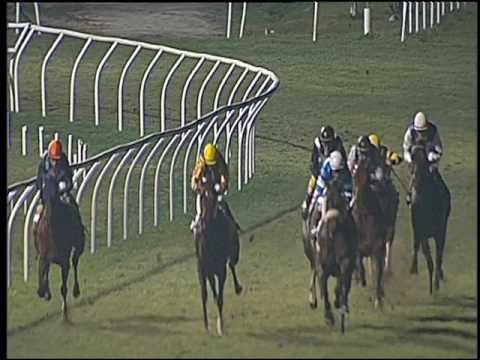 Galoppo 21/01/2017 - 6ª corsa