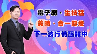 電子弱，生技猛  美時、合一雙燈  下一波行情醞釀中 (圖)