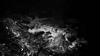 nosaj thing - how we do [unofficial]