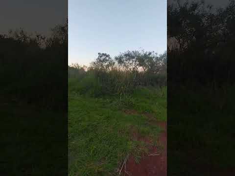 Rio Paranapanema divisa do Paraná com Estado de São Paulo