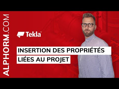 Tekla Structure 2018 Atelier de modélisation et dessin | Insertion des propriétés liées au projet