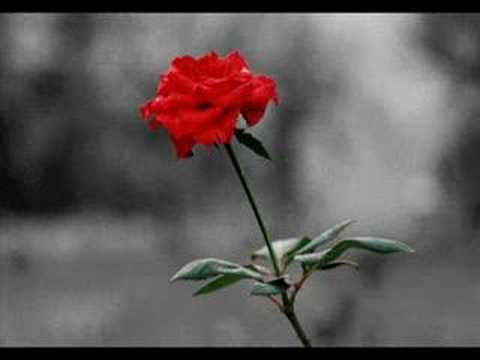 Ergün Görür İstemiyorum