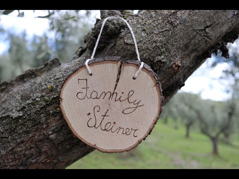 Adopt an olive tree in Tuscany,Italy