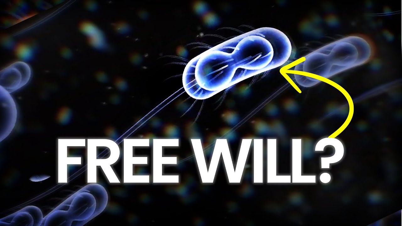 Do all living things have free will Or are they controlled by DNA and other forces