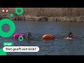 Zwemmen in ijskoud water steeds populairder