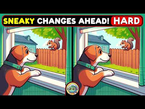 🐢🧩 Find 3 Differences | Mind Training Game 🧩🐢 | Quizonaut Turtle