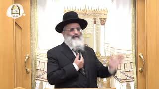 שידור חי מחיפה | מו"ר הרב ישראל אברג'ל שליט"א