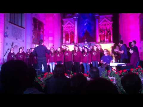 ZMVB - Salve regina ( Marijafest 2013. )