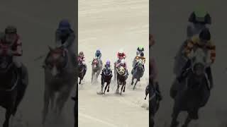 81.7배적중배당말 10.11번잡고  6-10복연승