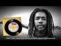 Peter Tosh - Lion (With Lyrics)