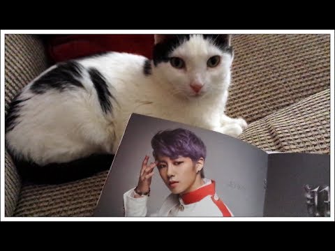 M.Pire 엠파이어 "NEW BORN MPIRE" cd is uninteresting to Molly cat