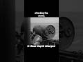 U-Boat attacked with depth charges in 1940 #history #ww2 #uboat #submarine #destroyer #atlantic
