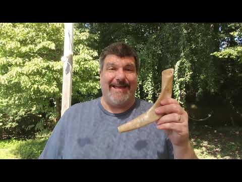 30 Seconds for Elul: Day 01