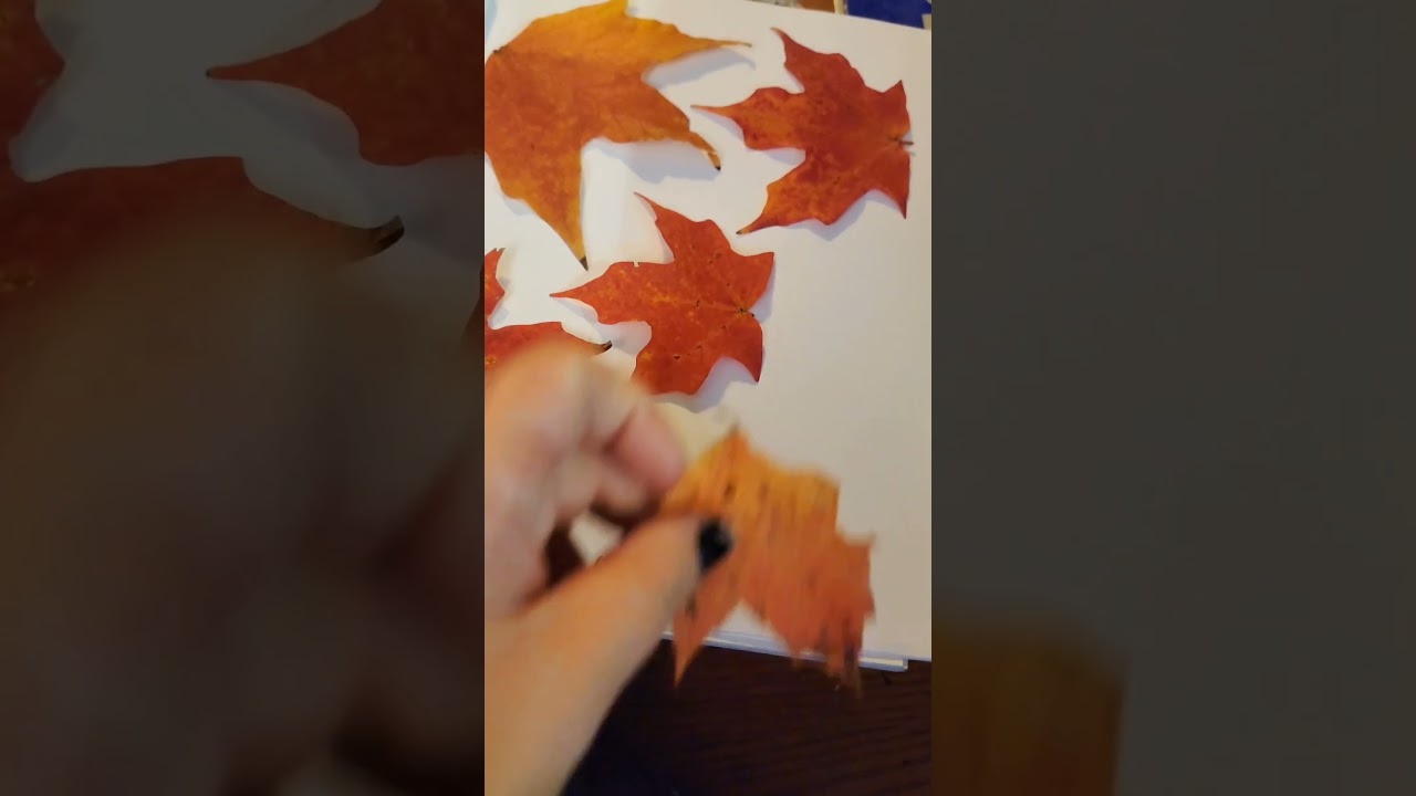My Fall Leaf Dring Process